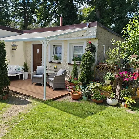 Jarzebinka Villa *