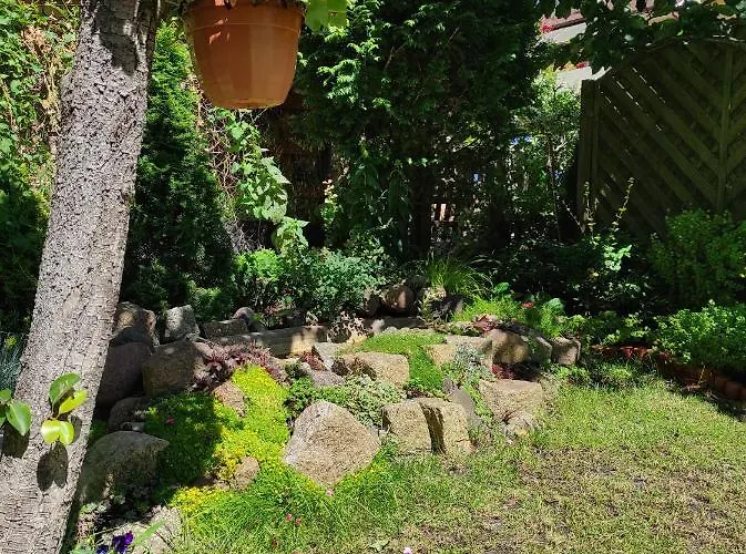 Jarzebinka 别墅 米兹多洛杰